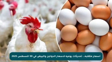 أسعار متقلبة.. تحديثات يومية لأسعار الدواجن والبيض في 30 أغسطس 2025